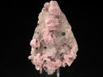 pl49.JPG (46967 bytes)