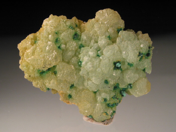 IMG_6361.JPG (85742 bytes)