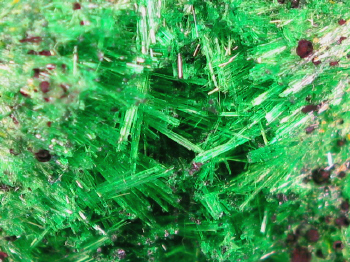 IMG_7985.JPG (423797 bytes)