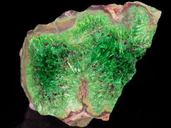 IMG_7988.JPG (237011 bytes)