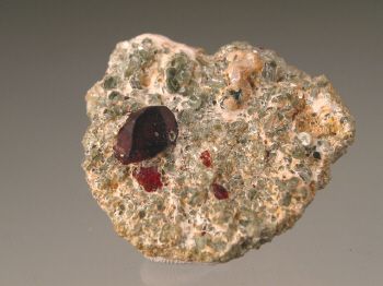 chond1.jpg (101570 bytes)