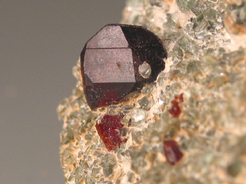 chond1a.jpg (105374 bytes)