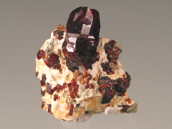 chond3.jpg (93313 bytes)