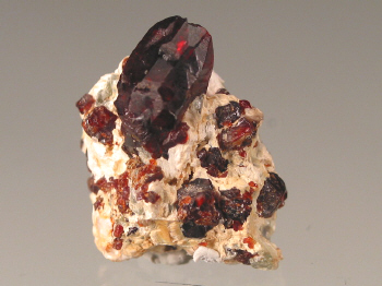 chond3a.jpg (90972 bytes)