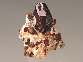 chond3b.jpg (87141 bytes)