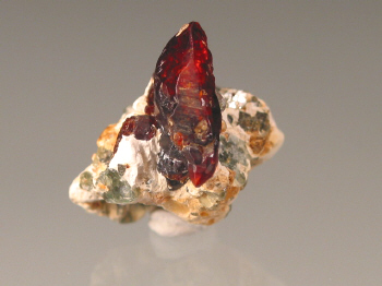 chond4.jpg (69816 bytes)