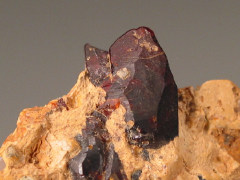 chond7a.jpg (110139 bytes)