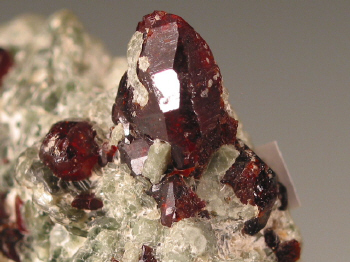 mchond4a.jpg (113117 bytes)