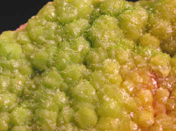 pyromorphite_asprierres2.JPG (132152 bytes)