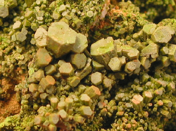 pyromorphite_tazmania3.JPG (172771 bytes)