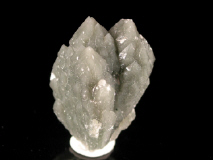 clim39.JPG (31957 bytes)