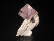 clim46.JPG (34185 bytes)