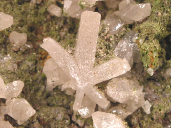 star.jpg (109910 bytes)
