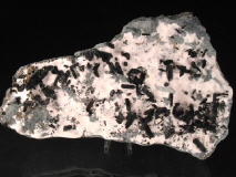 fs14.JPG (76929 bytes)