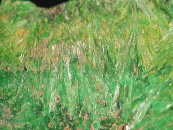 IMG_8115.JPG (275724 bytes)