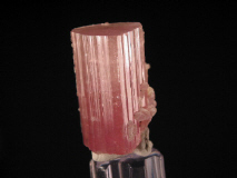 t7.JPG (53387 bytes)
