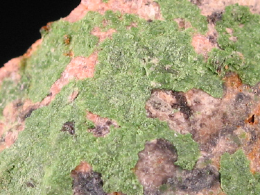 IMG_0276.JPG (159660 bytes)